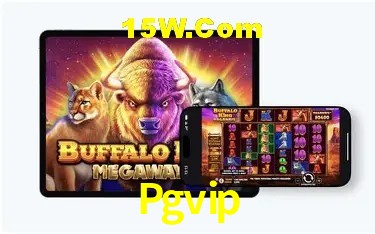 Ofertas Exclusivas Pgvip