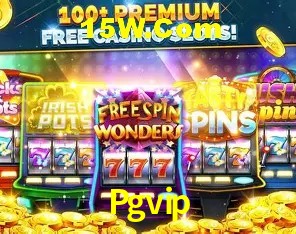 Pgvip Salvador - Support