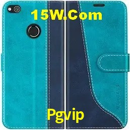 Promoção Relâmpago Pgvip