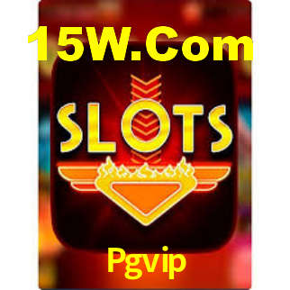 Pgvip - App Security